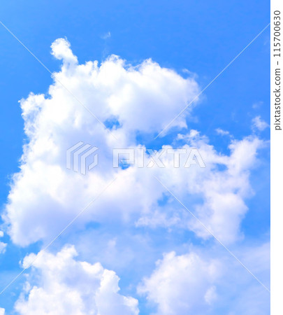 藍天白雲/背景素材 藍天白雲/背景素材 115700630