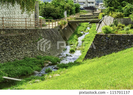 德島縣脅町美馬市卯建市容 115701137