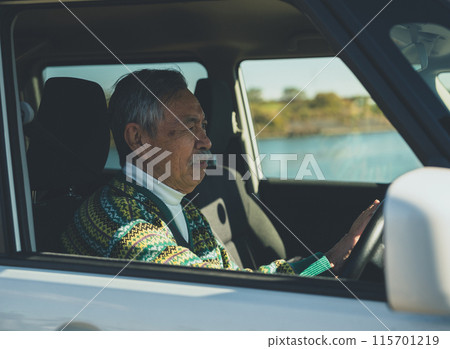 Elderly driver honking the horn Elderly driver honking the horn 115701219