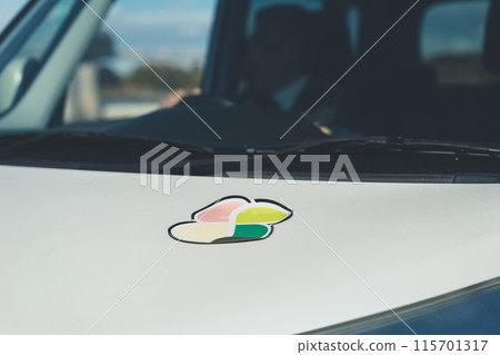 Elderly drivers 115701317
