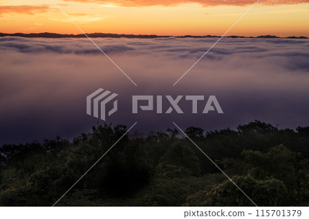 廣島縣三好市霧之海展望台的雲海與日出景觀 115701379