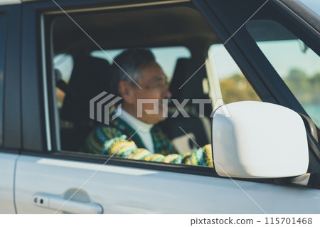 Elderly drivers 115701468