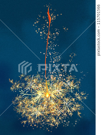 煙火明信片 115701566