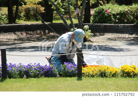 Work of silver human resources center Work of silver human resources center 115702792