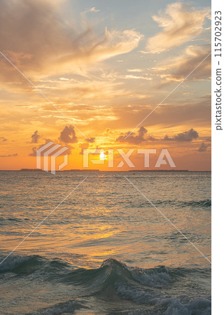 Paradise beach in Punta Norte, Isla Mujeres, Mexico 115702923