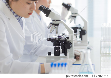 穿白大褂的女人做研究、實驗、顯微鏡 115702953