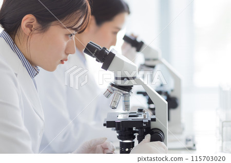 Woman in a white coat doing research Experiment Microscope Woman in a white coat doing research Experiment Microscope 115703020