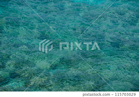 Water texture from Isla Mujeres ocean 115703029