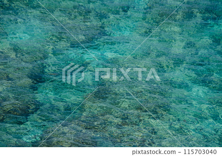 Water texture from Isla Mujeres ocean Water texture from Isla Mujeres ocean 115703040