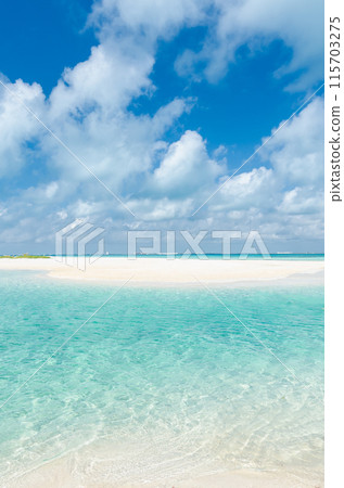 Sandy beach at Playa Norte, Isla Mujeres, Mexico Sandy beach at Playa Norte, Isla Mujeres, Mexico 115703275