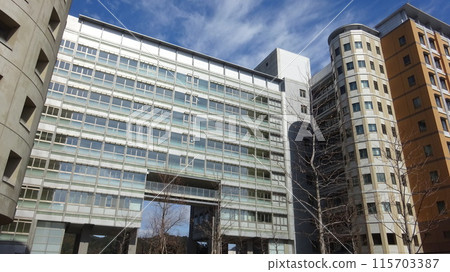 九州大學工學部 工學部 115703387