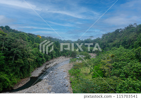 Rainforest and river in Costa Rica 115703541