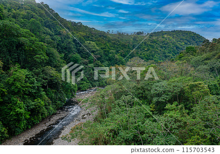 Rainforest and river in Costa Rica Rainforest and river in Costa Rica 115703543