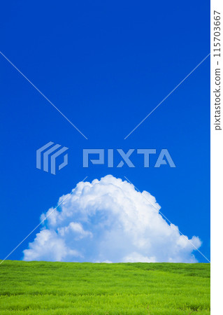 夏天的雲彩和綠油油的草地 115703667