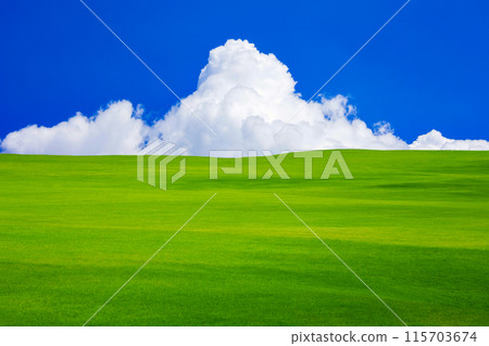 夏天的雲彩和綠油油的草地 夏天的雲彩和綠油油的草地 115703674