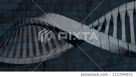 Image of data processing and dna strand on black background 115704831