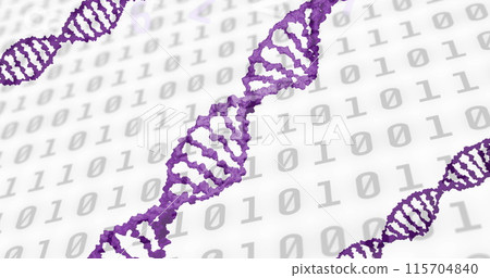 Image of data processing and dna strand on white background 115704840