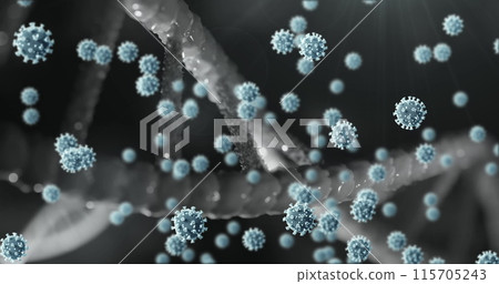 Covid-19 cells floating over dna structure spinning against grey background Covid-19 cells floating over dna structure spinning against grey background 115705243