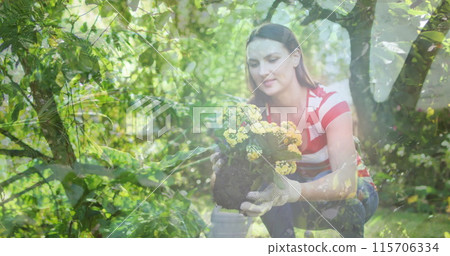 Composite image of tall trees against caucasian woman holding a plant pot in the garden Composite image of tall trees against caucasian woman holding a plant pot in the garden 115706334