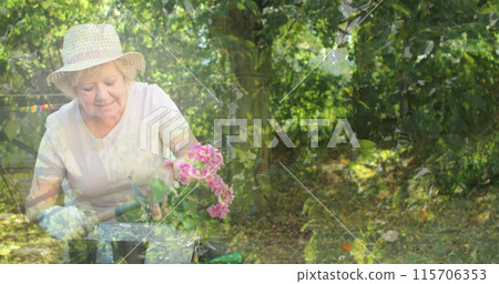 Composite image of tress in the forest against caucasian senior woman gardening in the garden 115706353