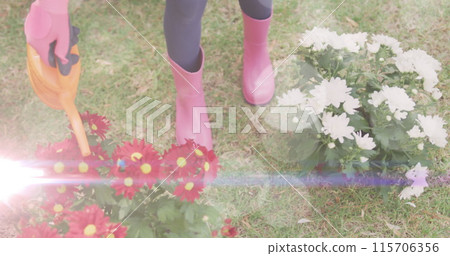 Spots of light against mid section of a woman watering plants in the garden Spots of light against mid section of a woman watering plants in the garden 115706356