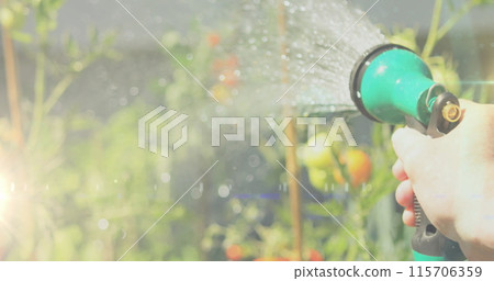 Spot of light against close up of a person's hand watering plants in the garden Spot of light against close up of a person's hand watering plants in the garden 115706359