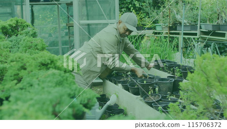Green spot of light moving against asian senior man watering plants in the garden 115706372