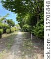 夏季綠色小徑 115706848