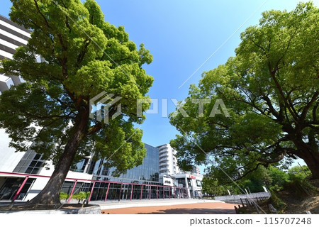 伊丹市立劇場大廳AI・HALL 115707248