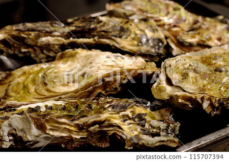Fresh oysters in the shell 115707394