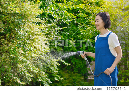 A smiling middle-aged woman watering the greenery in her garden A smiling middle-aged woman watering the greenery in her garden 115708341