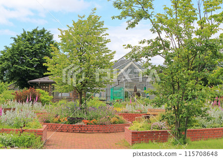 Ikeda Town Herb Station Flower and Herb Garden 115708648