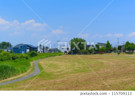 千葉縣流山市大濠河濱水公園週邊 2024年6月 千葉縣流山市大濠河濱水公園週邊 2024年6月 115709113