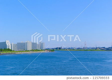 Near the mouth of the old Edogawa River, Urayasu City, Chiba Prefecture, June 2024 115709333
