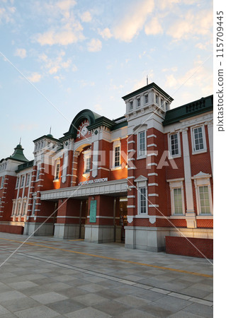 埼玉縣JR深谷站的夜景 115709445