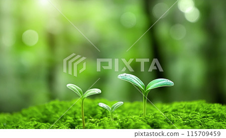 Forest sprouts, two leaves, Generative AI AI images 115709459