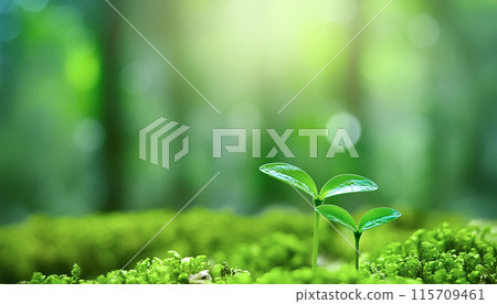 Forest sprouts, two leaves, Generative AI AI images 115709461