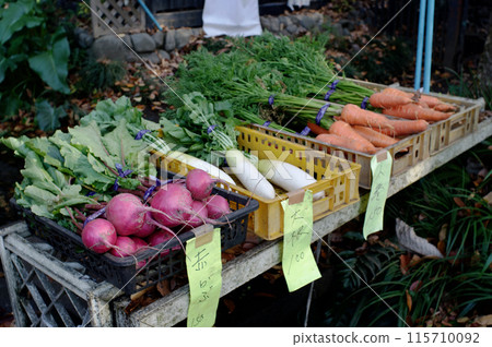 Fresh winter vegetables for sale at an unmanned stand Fresh winter vegetables for sale at an unmanned stand 115710092