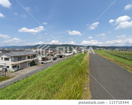 大和川河畔自行車道沿線風景 大和川河畔自行車道沿線風景 115710344