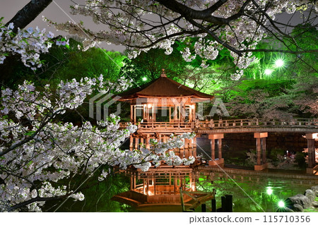 Ukimido and cherry blossoms Ukimido and cherry blossoms 115710356