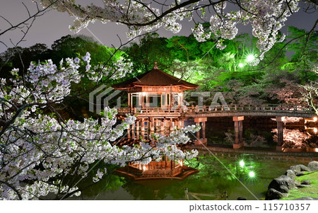 Ukimido and cherry blossoms Ukimido and cherry blossoms 115710357