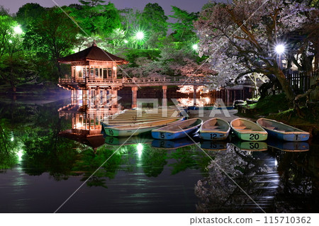 浮禦堂和櫻花 115710362