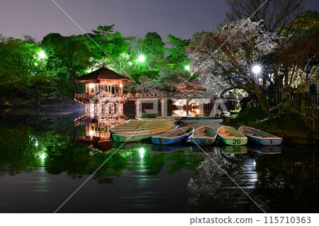 浮禦堂和櫻花 115710363