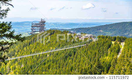 Aerial view of the Sky Bridge 721, the worlds longest suspension footbridge, stretching across a forested mountain in Czechia. The unique Sky Walk lookout tower stands nearby, offering panoramic views Aerial view of the Sky Bridge 721, the worlds longest suspension footbridge, stretching across a forested mountain in Czechia. The unique Sky Walk lookout tower stands nearby, offering panoramic views 115711972