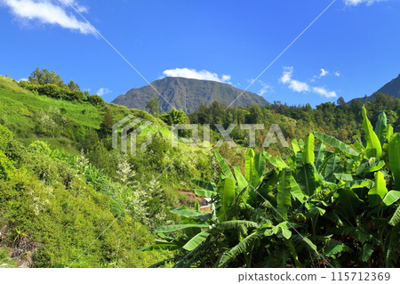 Mountain scenery around the village of Salazy, the base of the Cirque de Salazy, a World Heritage Site on the French overseas island of Reunion 115712369