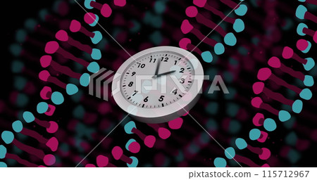 Image of clock moving over dna strands on black background Image of clock moving over dna strands on black background 115712967