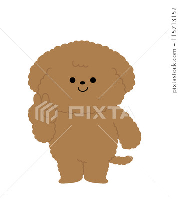 狗/玩具貴賓犬/和平 115713152
