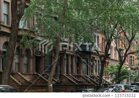 Charming brownstone buildings lined with trees in a residential New York City neighborhood 115713212