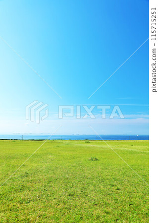 Chiba Prefecture, Shin-Urayasu, A park with a view of the blue sky and ocean 115715251