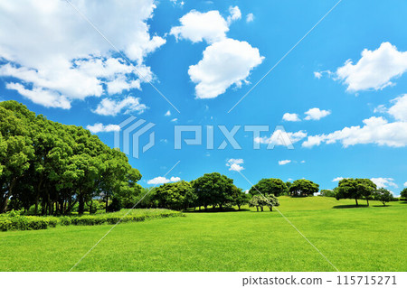 Chiba Prefecture: A park with refreshing blue skies and fresh greenery Chiba Prefecture: A park with refreshing blue skies and fresh greenery 115715271